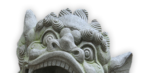 Stone Tiger Face